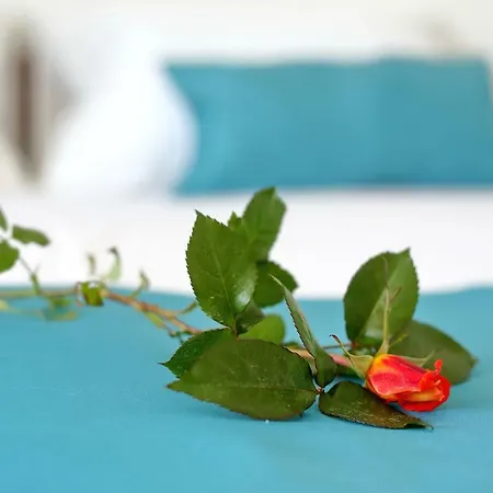 Brankica Lejlighed *