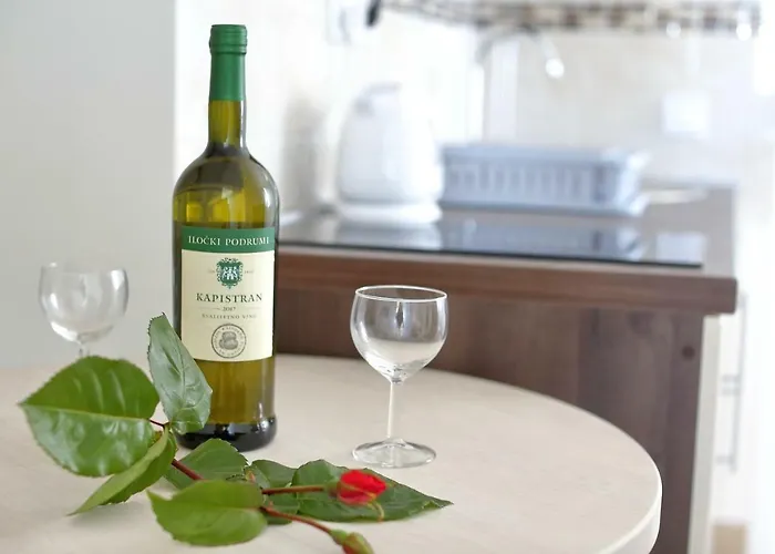 Brankica Apartment *